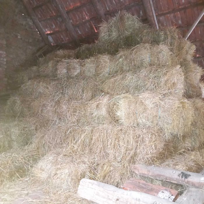 Vand 70 de baloti fan