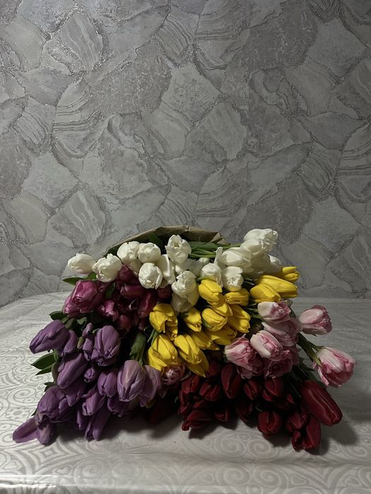 Тюльпаны свежие