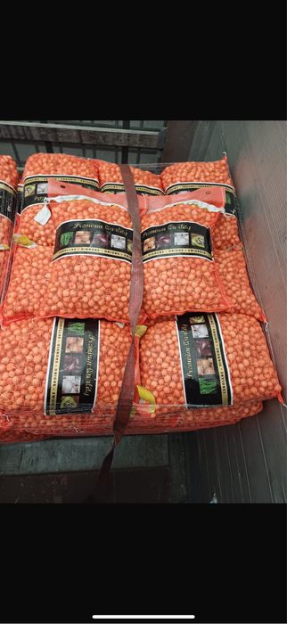 Vand Arpagic  OLANDA STUTTGARTER 14/17 14/21 10/21