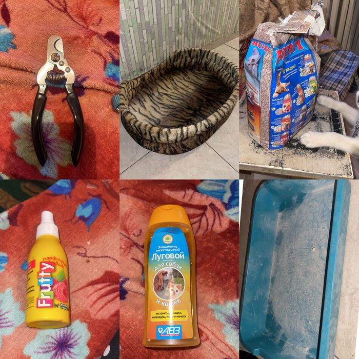 Продаётся сибирский хаски. Мальчик.