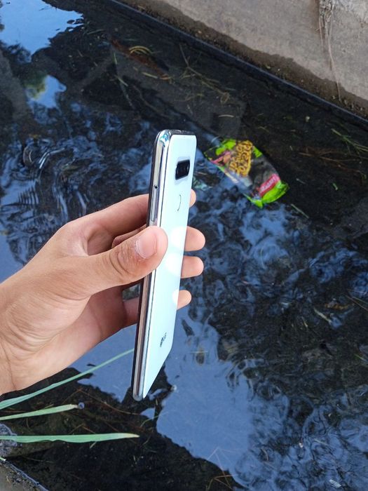 Oq paypoqli sargish bilan anal jinsiy aloqa