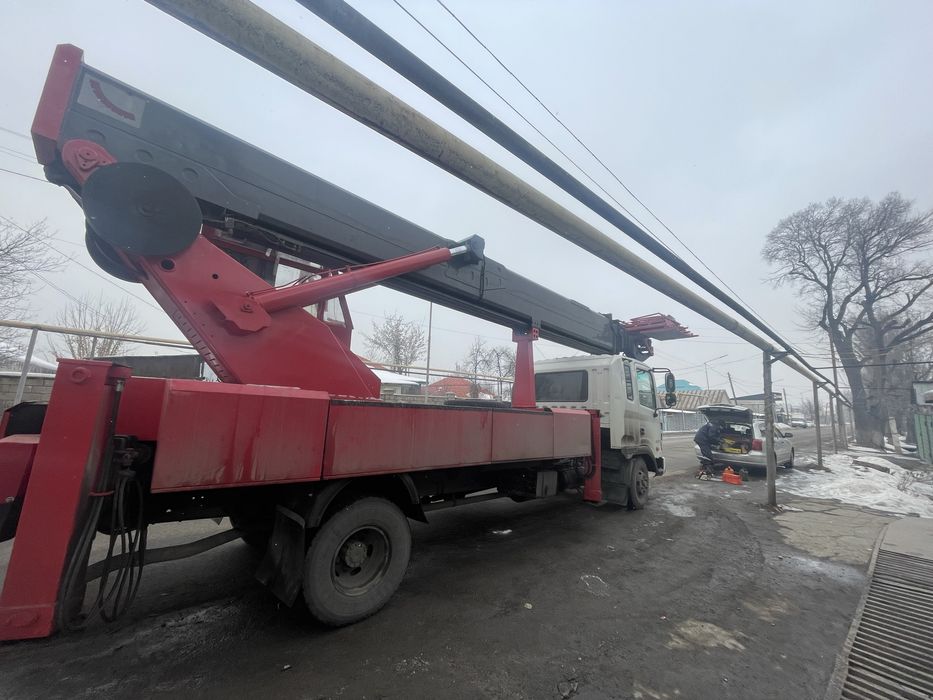 Спил дерева,сруб деревьев.