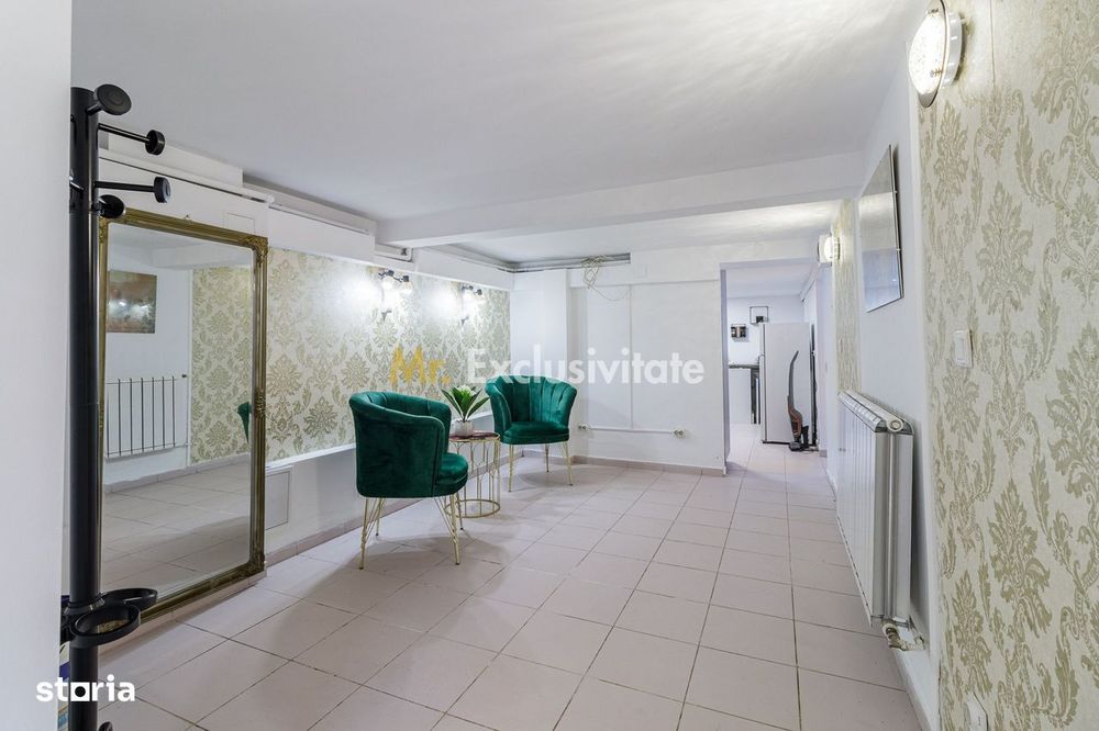Spatiu Comercial Gorjului-Timisoara