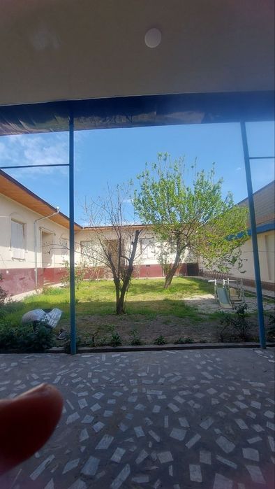 6 сотихли ховли сотилади