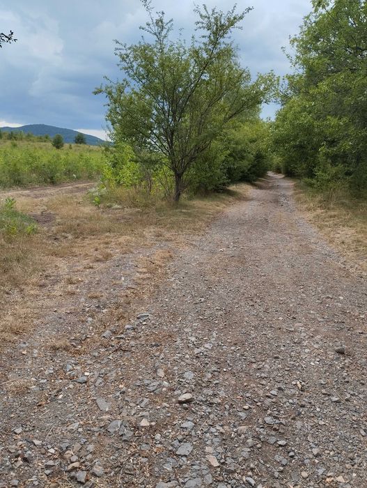 Продава се Парцел в Банкя - 1572 кв.м за 166 €/кв.м - Снимка #5