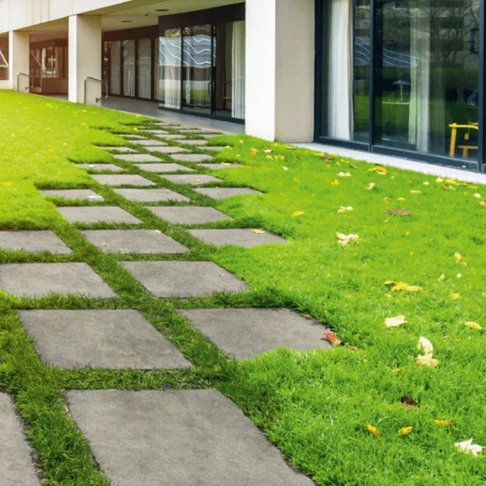 Gazon, рулон газон, арча, гул экамиз