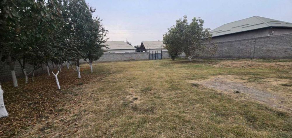 Продаётся земля 50 соток в Суруме, 3 км от Ташкента