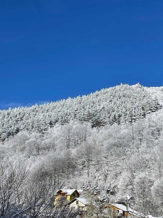 Продава се Къща в с. Чифлик, Област Ловеч - 180 кв.м за 1106 €/кв.м - Снимка #16