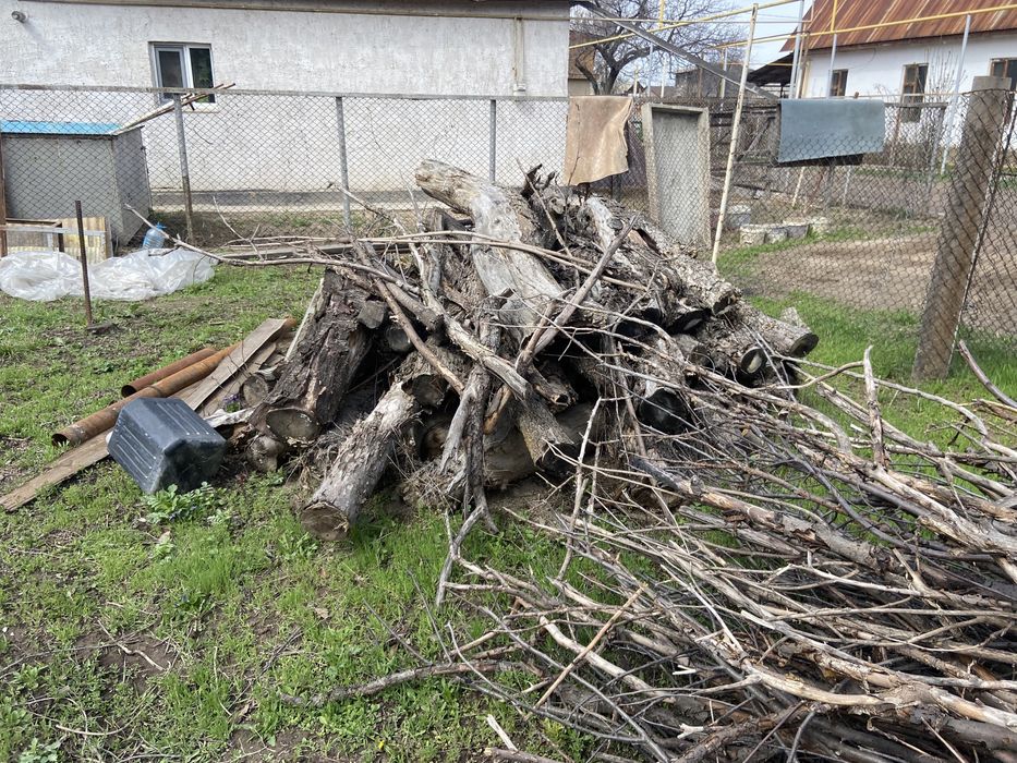 Дрова,ветки,деревья самовывоз