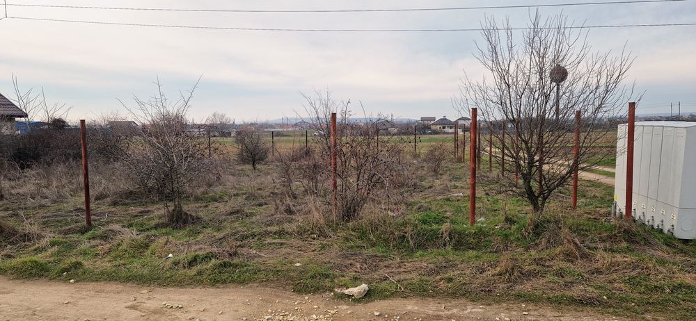 Teren intravilan 500mp - Jieni Simnicu de Sus Dolj