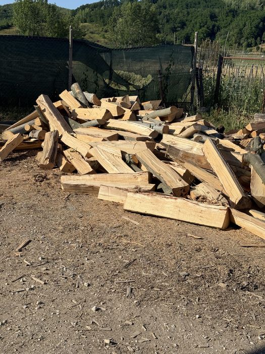 ‼️Depozit autorizat vindem lemne de foc esențe tarii[Fag,Gorun,Carpen,Cer]