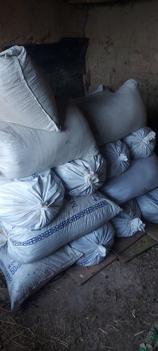 Биогумус Тыңайтқыш