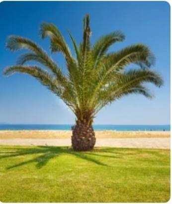 Имоти в Гърция на добри цени