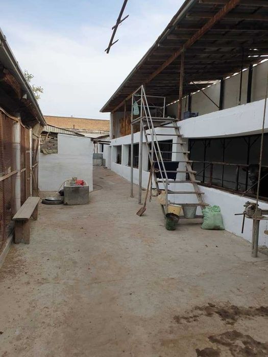 Продается дом на земле