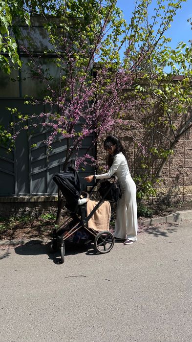 Коляска 2 в 1 Cybex Priam IV