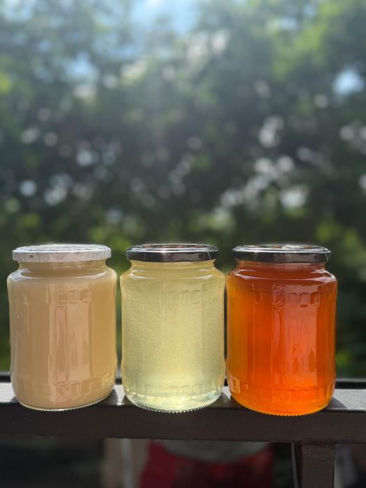 Apicultor vând miere crudă (neprocesată) din stupina proprie