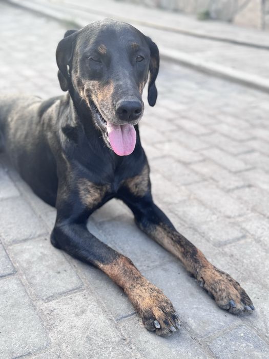 В добрые руки и теплое сердце