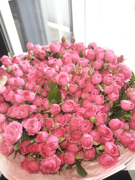 Продам цветы, бугин алдым кустовые розы