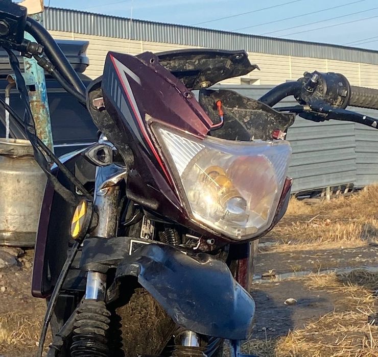 Альфа чамп продам обменяю