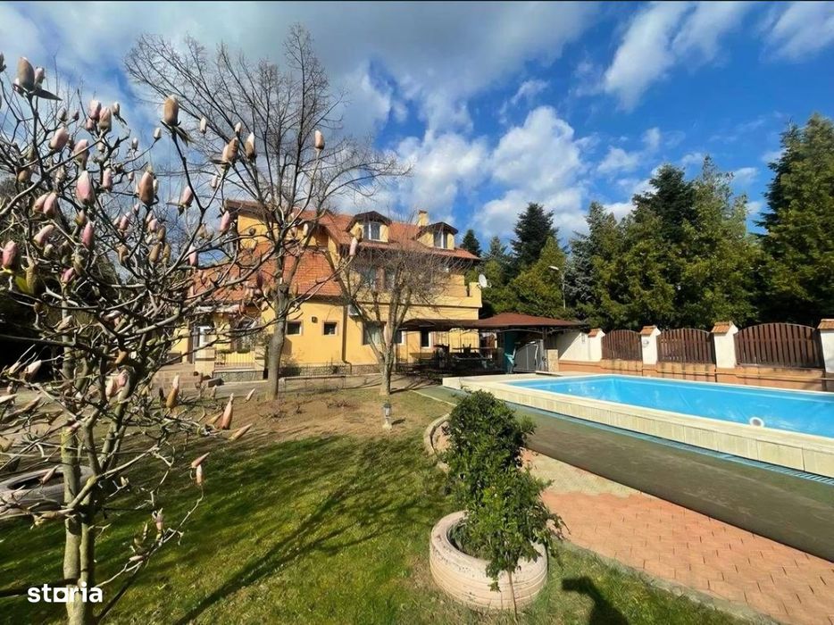Iancu Nicolae:Vila impresionanta,cu piscina si teren de 1500mp