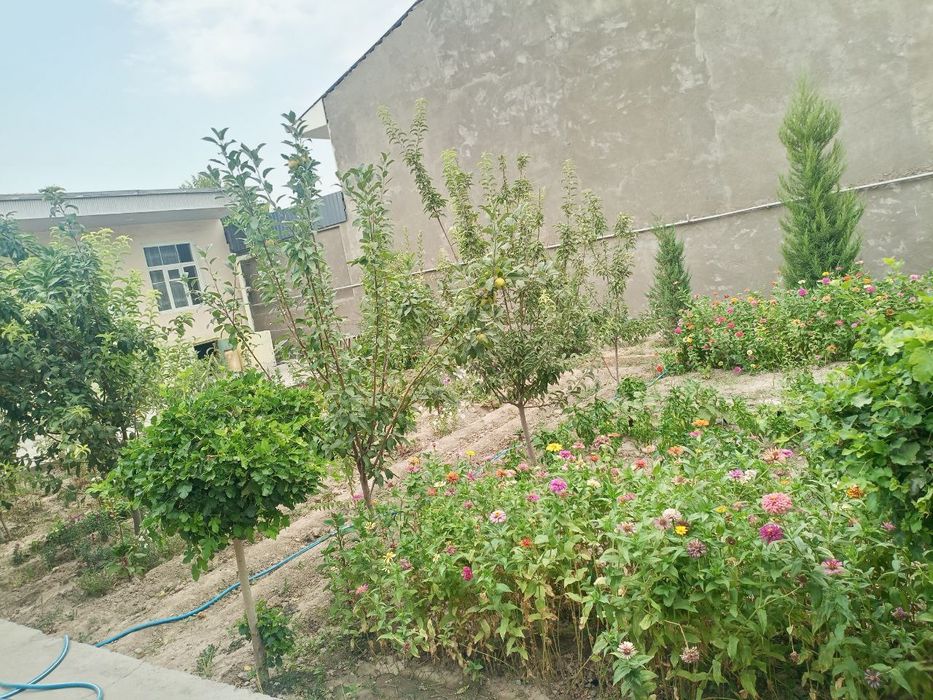 Сйргли район уй сотилади ховли зор жойда жойлашган шошлилила опколишга