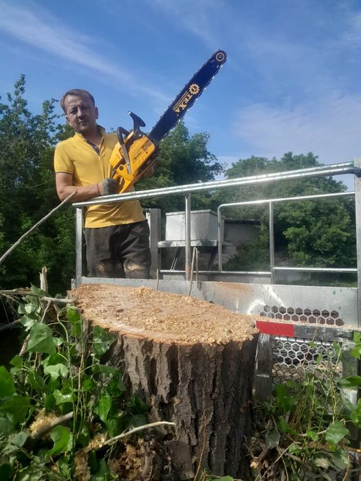 Спил деревьев и обрезка плодовых деревьев