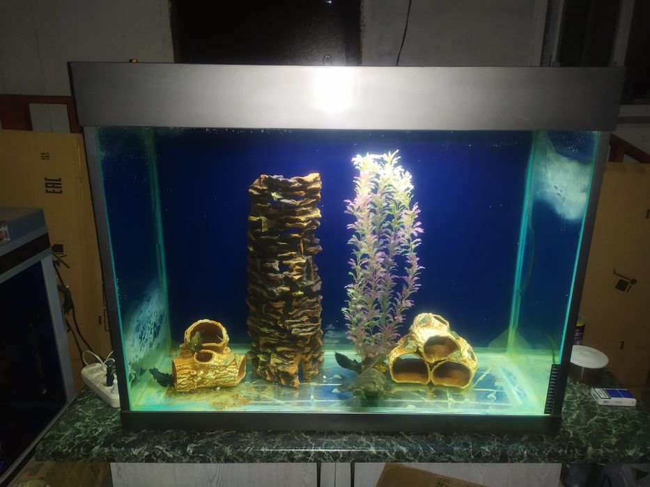 Для высоких аквариумов. Декор керамика.