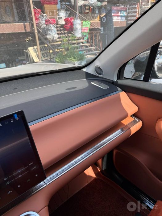 leapmotor c16 sidena chexol