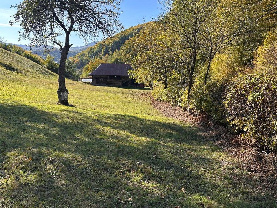 Teren intravilan in Firiza