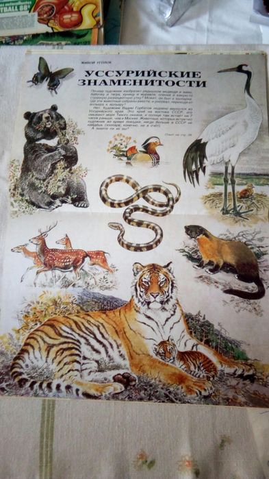 Руско, детско списание Миша