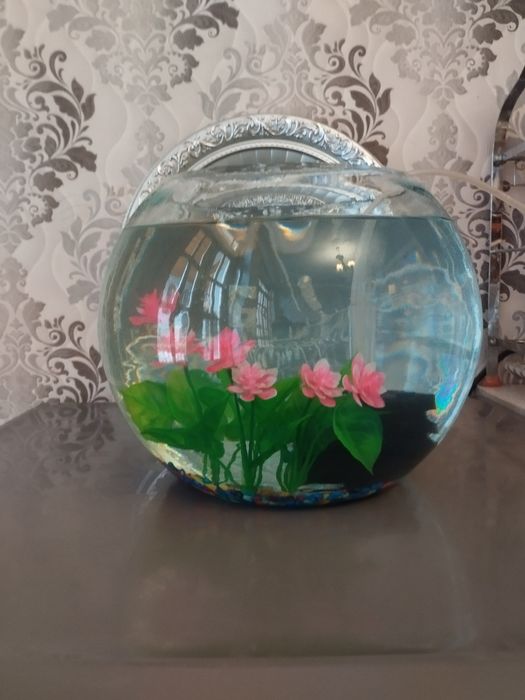 Аквариум круглый 10 литр