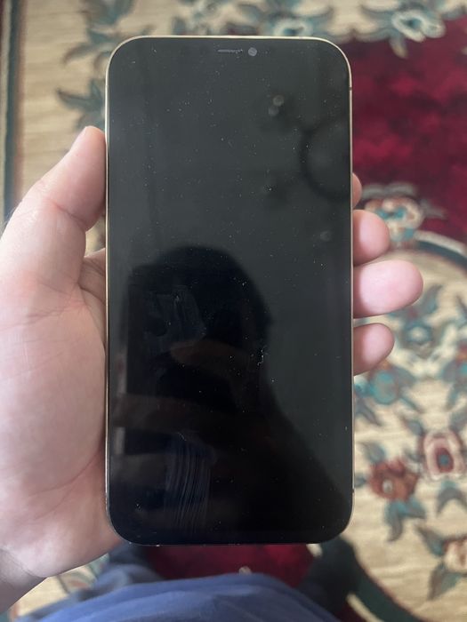Iphone 12 pro max