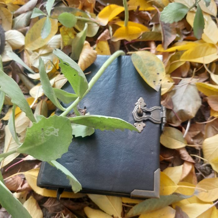 Книга Теней Гримуар