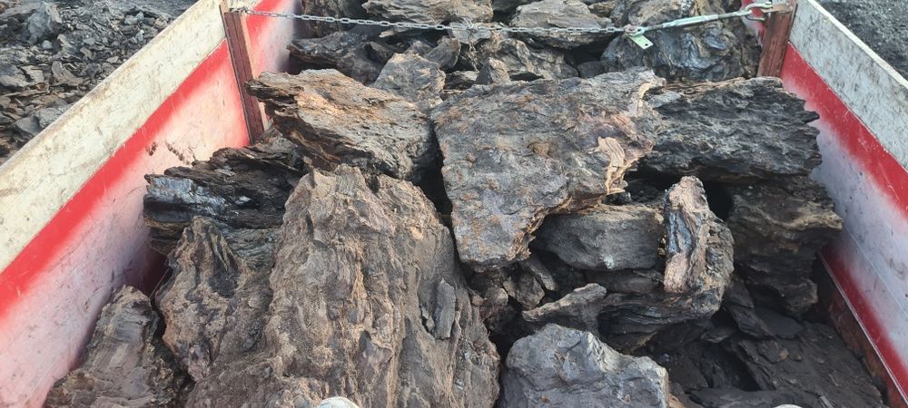 Deseuri fag ,cărbune lignit