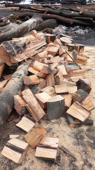 Vând Lemne de foc fag crepatura sau rotunde groase avem și raritura !