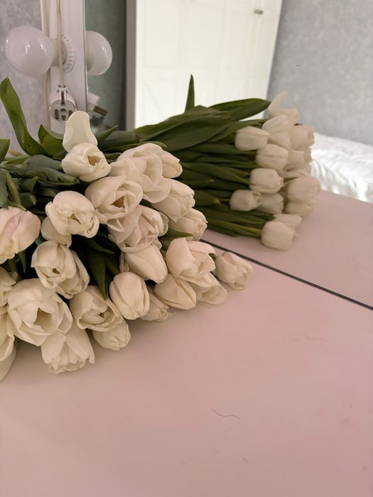 Продаю тюльпаны белые