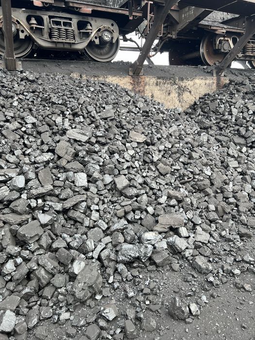 Каражара сорт 18500т