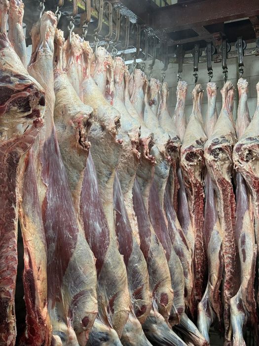 Говядина полтуши