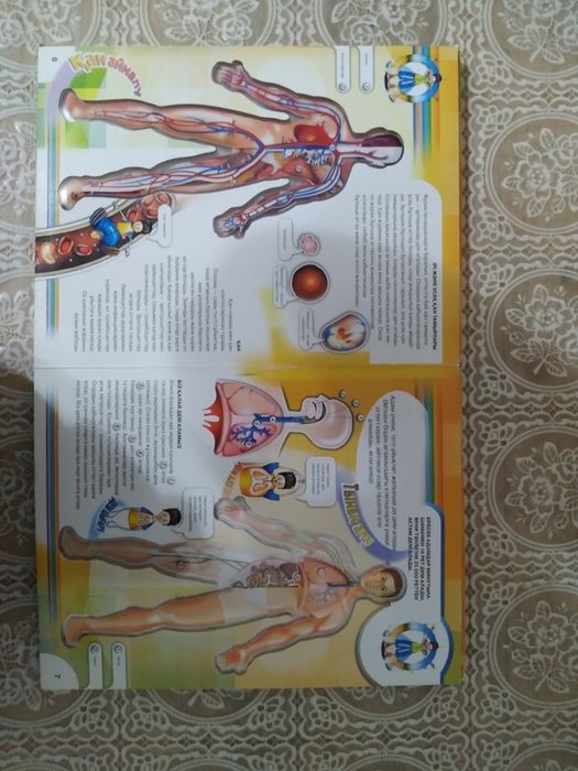 Байланған сүйкімді әйел трахает