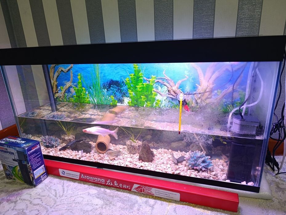 120 litrli akvarium
