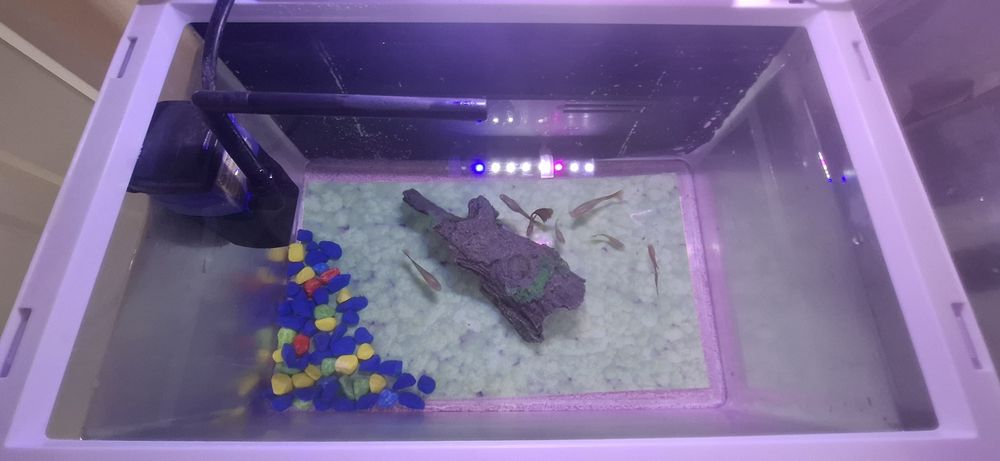 Аквариум с рыбками