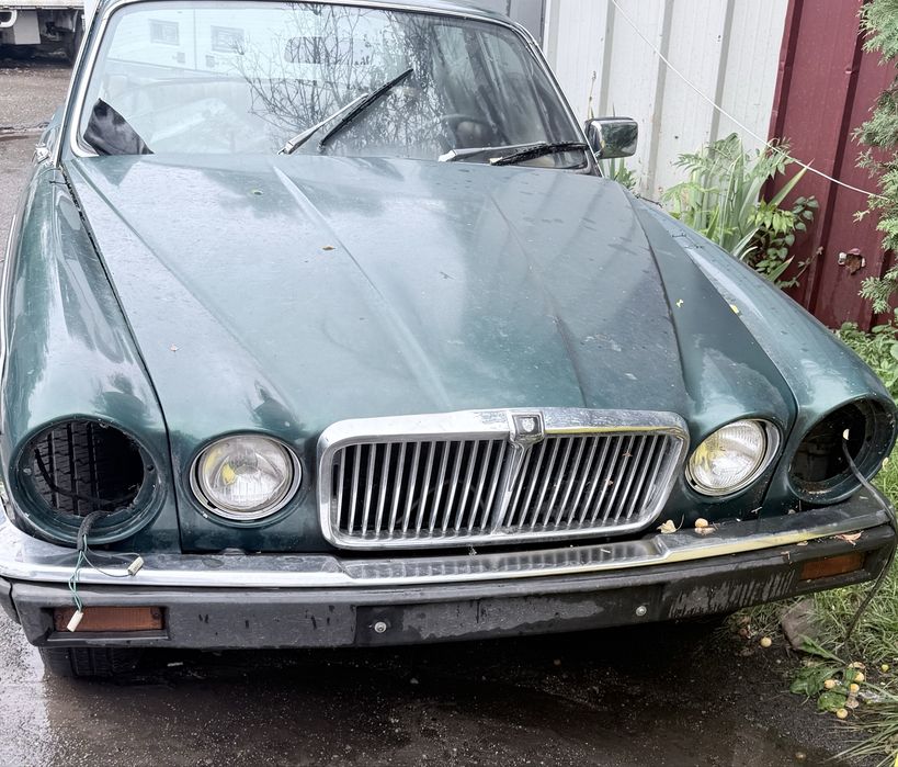 Vand jaguar 1980