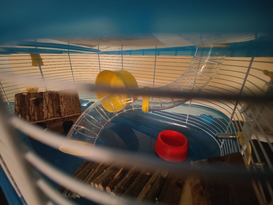 Cusca hamster 2 nivele