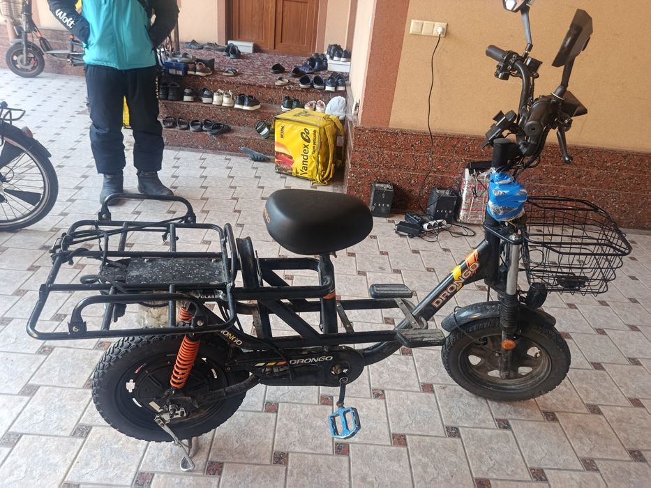 Drongo Monstr holati yaxshi