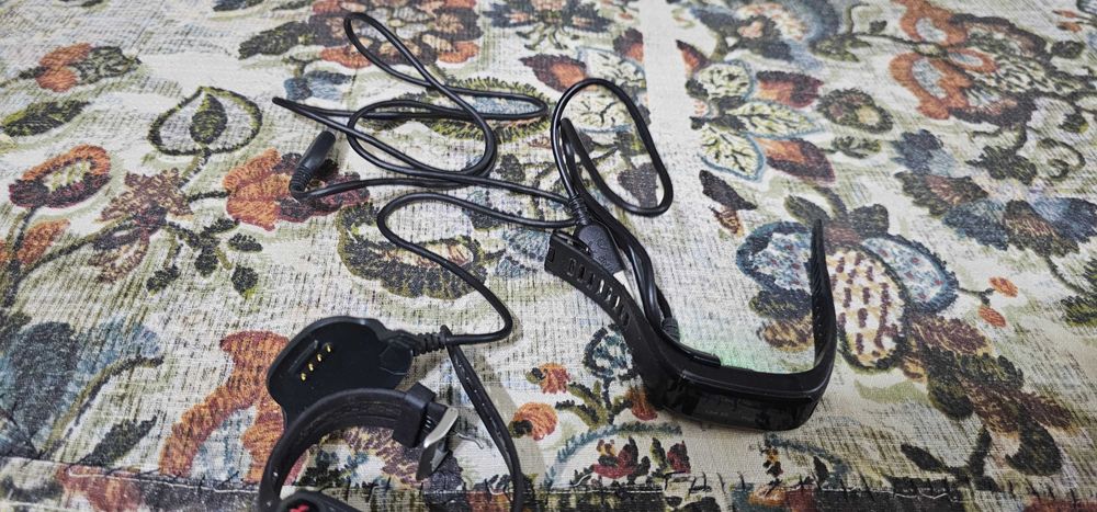 ceas sport Garmin Forerunner 10 garmin vivosmart hr