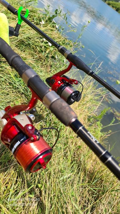 Combo feder dome gabor