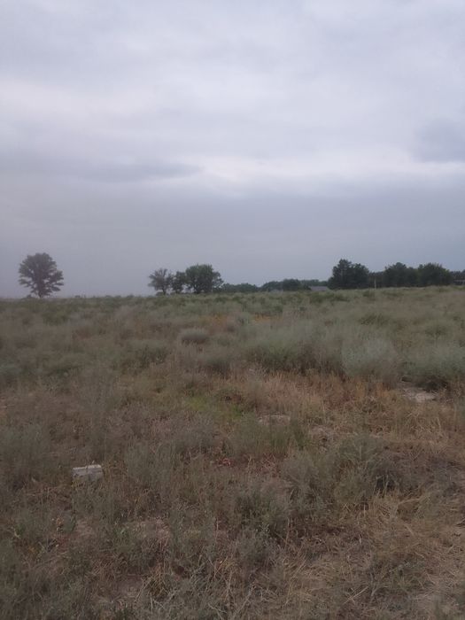 Срочно продам участок КХ 50соток