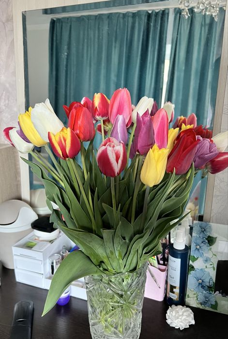 Цветы.Тюльпаны садовые.Айгуль