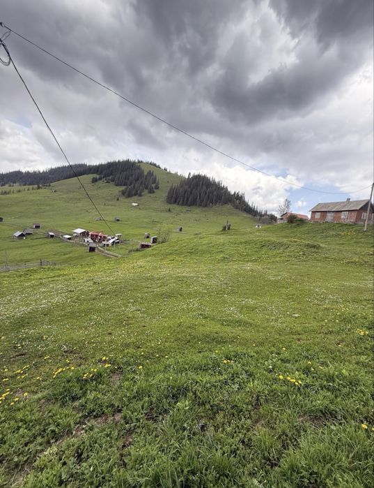 Teren Suceava - Carlibaba- Catun Pleta