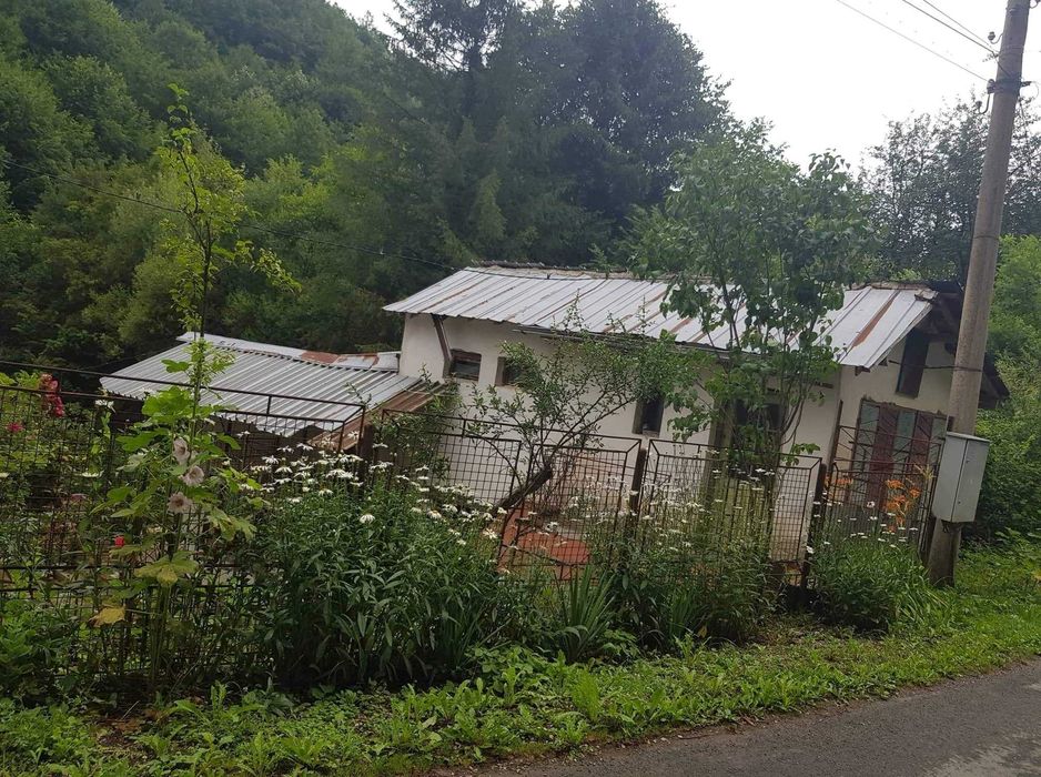 Продава се Къща в с. Бели Осъм, Област Ловеч - 280 кв.м за 251 €/кв.м - Снимка #22